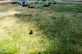 Działki  Ławaryszki, Litwa