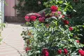 Дом 3 комнаты 150 м² Одесса, Украина