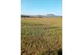 Land 5 062 m² Sveti Petar na Moru, Croatia