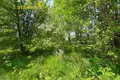 Land  Bialarucki sielski Saviet, Belarus