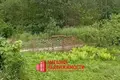 Haus 50 m² Sapockinski sielski Saviet, Belarus