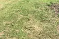 Land  Saskouski sielski Saviet, Belarus