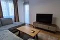 Apartamento 1 habitacion 452 m² Montenegro, Montenegro