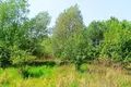 Atterrir 1 438 m² Pniewo, Pologne