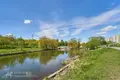 2 room apartment 45 m² Minsk, Belarus