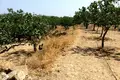 Land 3 bedrooms 130 m² Kontos, Greece