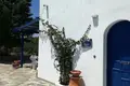 Commercial property 207 m² in Theologos, Greece