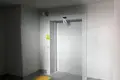 Wohnung 1 zimmer 39 m² Smaljawitschy, Belarus
