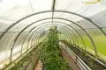 Haus 70 m² Bialarucki sielski Saviet, Belarus