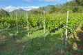 4-Schlafzimmer-Villa 200 m² Montenegro, Montenegro
