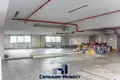 Коммерческое помещение 344 м² в Минске, Беларусь