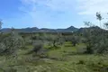 Land 5 980 m² Peloponnese Region, Greece