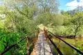 Land  Novy Dvor, Belarus