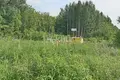 Grundstück 1 500 m² Gorodetsky District, Russland