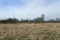 Parcelas  Mir, Belarús