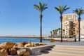 2 bedroom apartment  Torrevieja, Spain