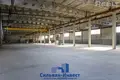 Warehouse 3 924 m² in Kalodishchy, Belarus