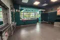 Commercial property 105 m² in Minsk, Belarus
