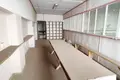 Produktion 1 285 m² in Zarecca, Belarus