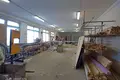 Manufacture 1 804 m² in Hotland rural council, Belarus