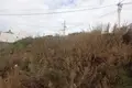 Land  Burtaisi, Montenegro