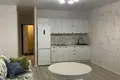 Wohnung 1 zimmer 30 m² Minsk, Belarus