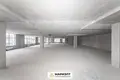 Commercial property 1 005 m² in Minsk, Belarus