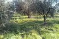 Land 1 500 m² Dionisiou Beach, Greece