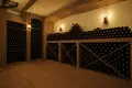 Operating premium class winery – cellar “Zenishi”, located in Kakheti, Sagarejo municipality, in the village of Khashmi