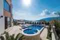 House 10 bedrooms 300 m² Topla, Montenegro