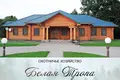 Commercial property 295 m² in Kurylavicki sielski Saviet, Belarus