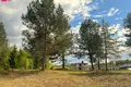 Land  Saldene, Lithuania
