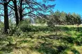 Land  Melekonys, Lithuania
