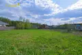 Land  Lahojsk selsaviet, Belarus