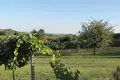 3 room house 65 m² Badacsonytomaj, Hungary