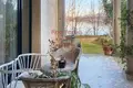 5-Zimmer-Villa 1 195 m² Leggiuno, Italien