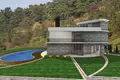 Villa 480 m² Montenegro, Montenegro