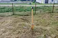 Cottage 81 m² Viliejka, Belarus