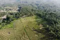Земельные участки  Tabanan, Индонезия