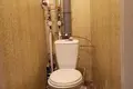 Wohnung 1 zimmer 33 m² Retschyza, Belarus