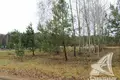Grundstück 64 m² Vielikarycki sielski Saviet, Weißrussland