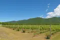  Fully equipped, brand-new wine factory with a full production cycle, located in Kvareli 