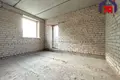 Cottage 194 m² Salihorsk, Belarus