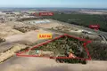 Land 36 300 m² Smolice, Poland