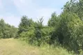 Land 1 266 m² Zalaszanto, Hungary