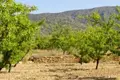 Haus 4 zimmer  el Pinos Pinoso, Spanien