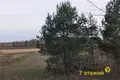 Maison 39 m² Stankauski selski Savet, Bélarus