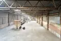 Producción 10 habitaciones 290 m² en Radashkovichy, Belarús