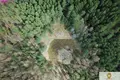 Land  Kaziuriskes, Lithuania