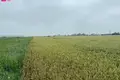 Działki  Dygry, Litwa